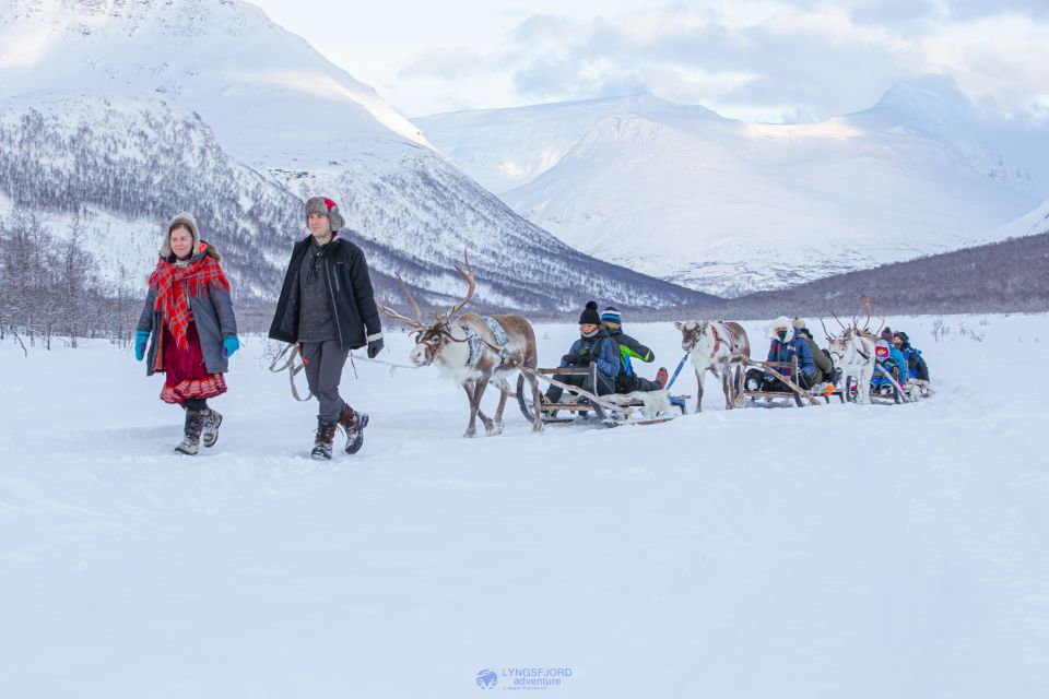 From Tromsø: Daytime Reindeer Sledding at Camp Tamok - Included Amenities