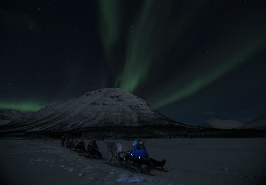 From Tromsø: Evening Reindeer Sledding at Camp Tamok - Cultural Experience