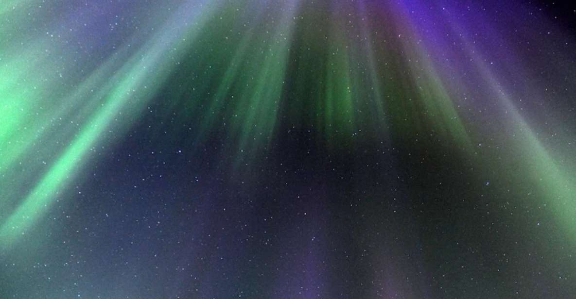 From Tromsø: Northern Lights Adventure With Hotel Transfers - Expert Guidance