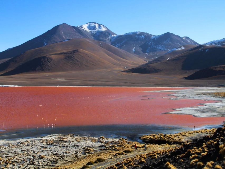 From Uyuni: Geyser and Uyuni Salt Flats 3-Days | Flamingos | - Day 2 Highlights