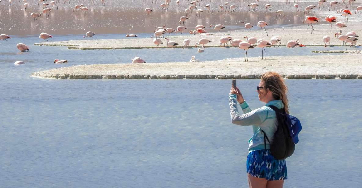 From Uyuni: Red Lagoon & Uyuni Salt Flats 3-Day Guided Tour - Day 1 Activities