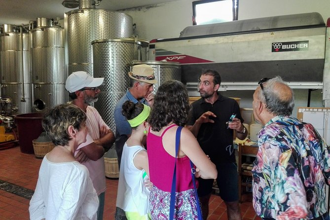 From Venice : Wine and Food Tour in the Prosecco Hills - Tour Details