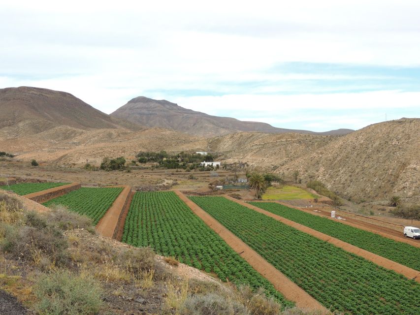 Fuerteventura: Island Highlights Guided Sightseeing Tour - Transportation and Pickup