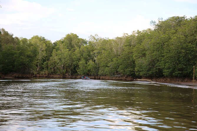 Full Day Bongawan River Cruise With Proboscis Monkey Sightseeing - What to Expect