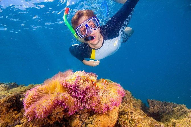 Full-Day Cruise Tour to Frankland Islands Great Barrier Reef - Guest Reviews