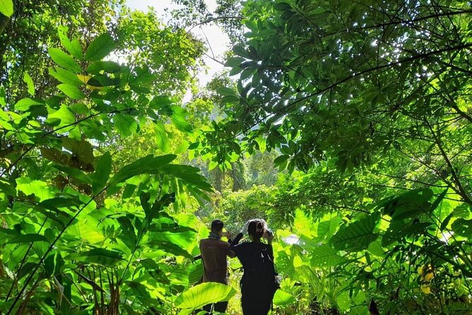 Full-Day Cuc Phuong National Park Hiking Tour - Cancellation Policy