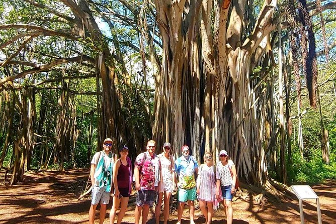 Full Day Customized North Shore Private Tour - Meeting and Pickup Details