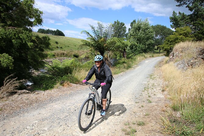 Full Day Ebike Tour in Karangahake Gorge (ex Auckland) - Pickup Locations