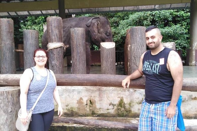 Full Day Elephant Sanctuary Tour With a Free Batu Caves Visit - Accessibility and Participation