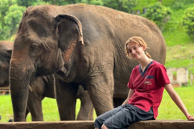 Full Day Experience at Ran-Tong Save & Rescue Elephant Centre - Pickup and Transportation