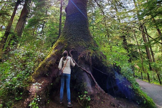 Full-Day Guided Oregon Coast Tour From Portland - What to Expect