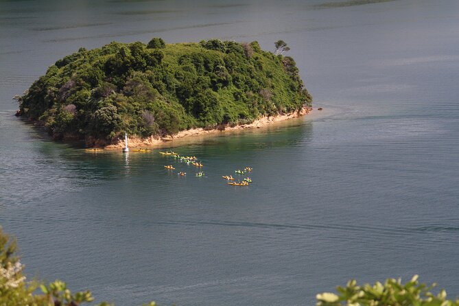 Full Day Guided Sea Kayak Tour From Picton - Lunch and Dining Experience