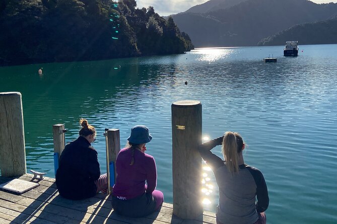 Full-Day Guided Sea Kayak Trip From Picton - Wildlife Encounters