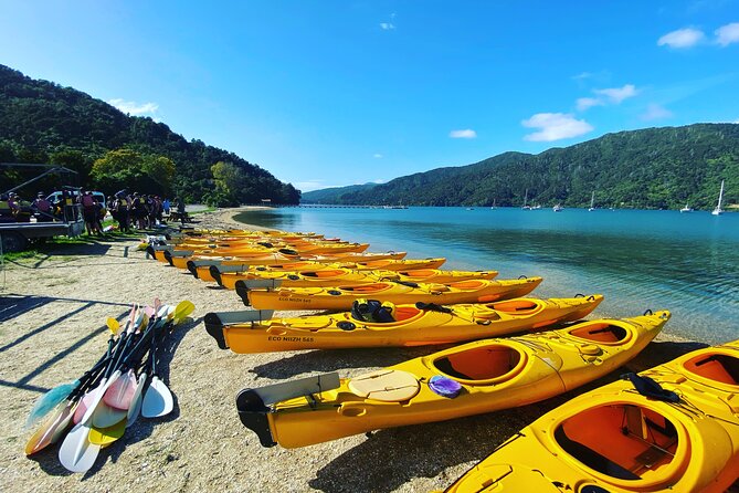Full-Day Guided Sea Kayaking Trip From Anakiwa - Daily Schedule