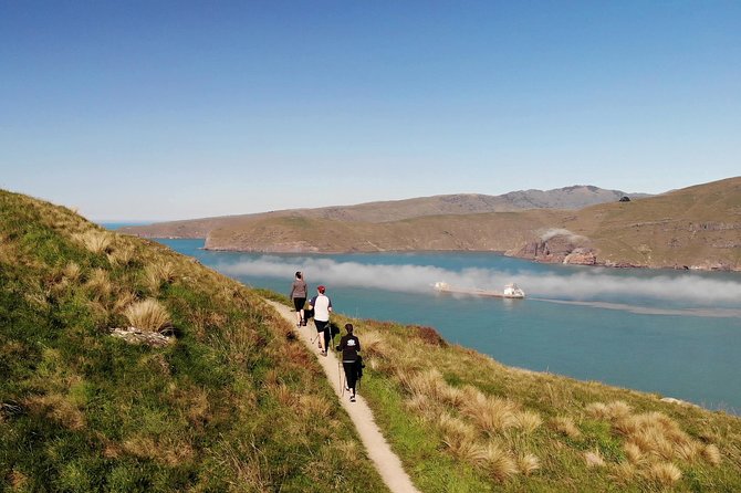 Full Day Guided Walking Tour and Picnic on Banks Peninsula - Customer Testimonials