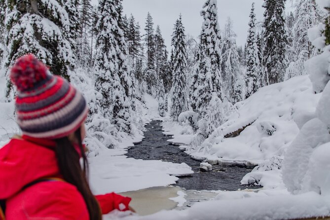 Full Day Hiking in Korouoma Canyon Frozen Waterfalls - Transportation Details