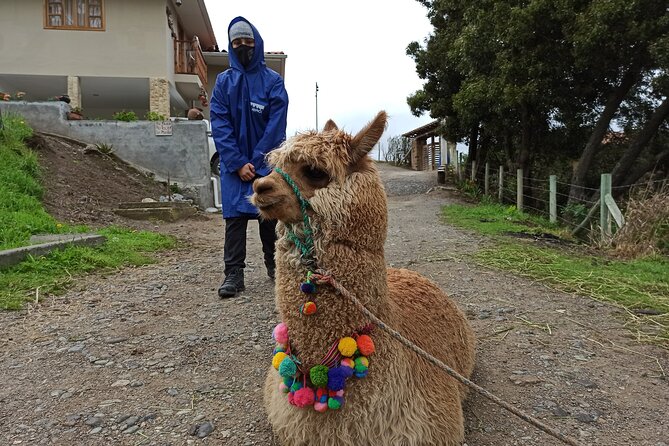 Full-Day Ingapirca Ruins and Gualaceo & Chordeleg Tour From Cuenca - Booking Information
