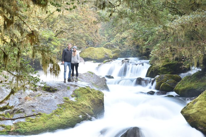 Full-Day Milford Sound Extraordinaire Tour From Te Anau - Wildlife Encounters to Expect