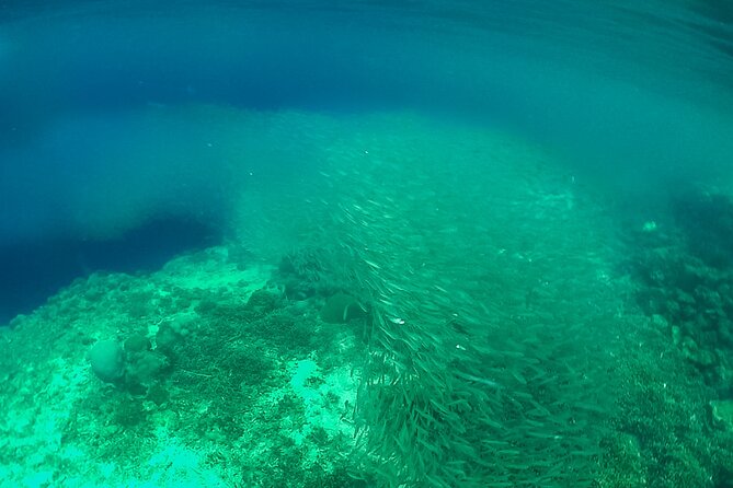 Full-Day Moalboal Islands and Kawasan Falls Small-Group Tour From Cebu - Booking Information