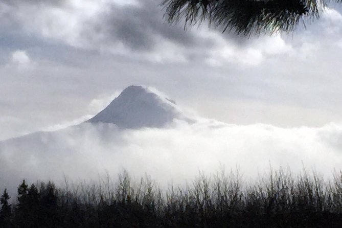 Full-Day Mt Hood Waterfall Tour With Lunch and Wine Included - Inclusions and Amenities
