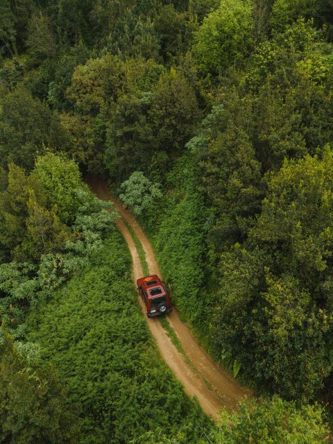 Full Day Off-Road Tour in West Madeira, With Pick-Up - Tour Description