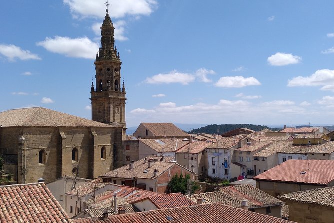 Full-Day Private Cultural and Gastronomic Adventure in Rioja - Accessibility