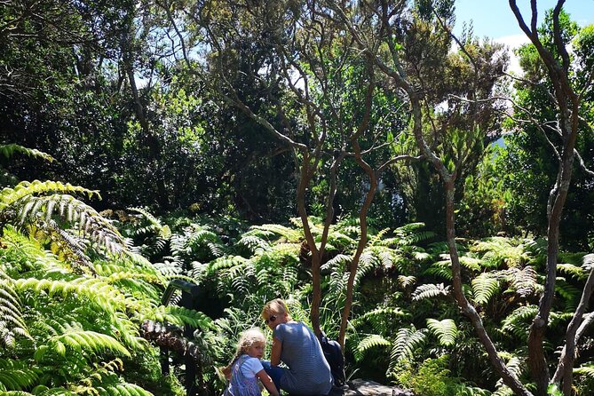 Full-Day Private Tour of Faial - Culinary Delights