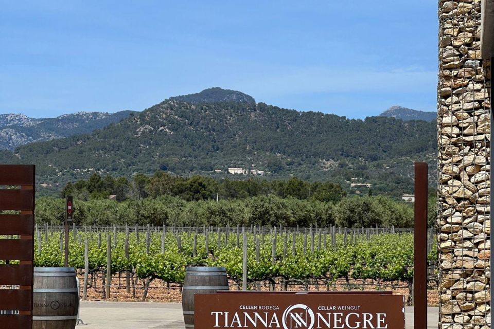 Full-Day Private Wine Tour to 3 Unique Wineries in Mallorca - Participant Information