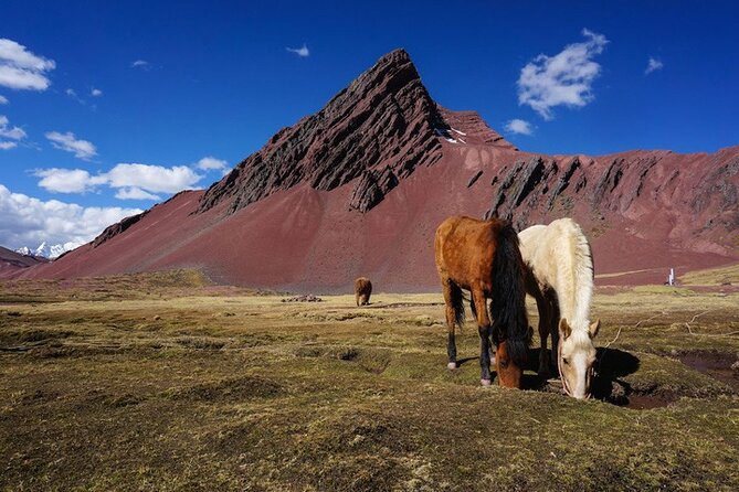 Full Day Rainbow Mountain Tour Vinicunca With Guide - Tips for Travelers