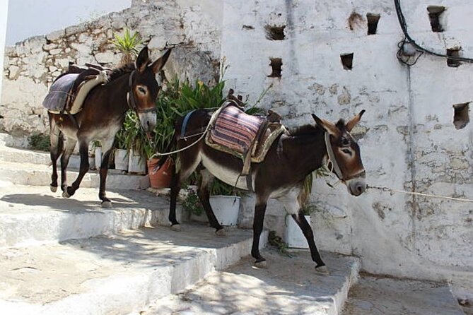 Full-Day Rhodes Island Tour With Wine Tasting Experience - Tour Duration and Group Size