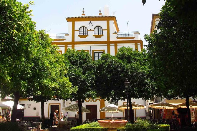 Full Day Seville Tour With Tickets (Optional Tapas & Flamenco) - Accessibility Options