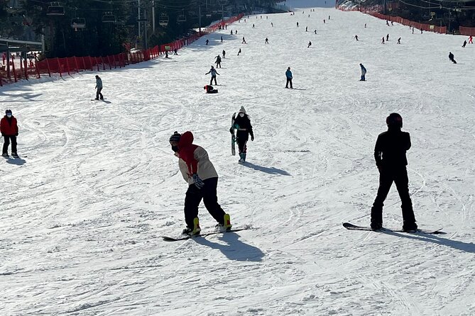 Full Day Ski Tour From Seoul to Yongpyong Ski Resort - Cancellation Policy