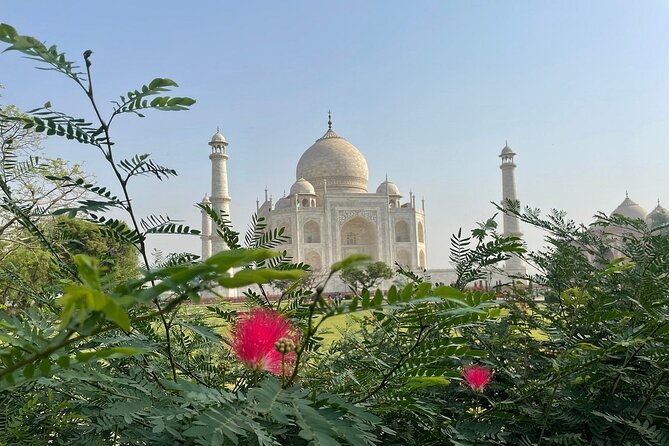 Full Day SOS Wildlife Sanctuary With Sunrise at Taj Mahal - Visit to SOS Wildlife Sanctuary