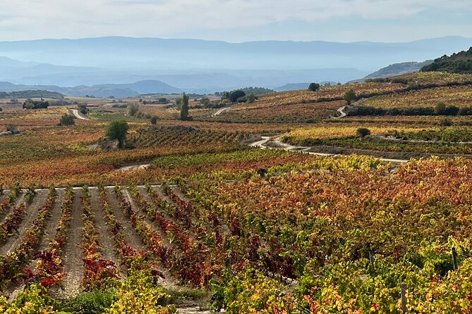 Full Day Tasting The Unknown Rioja Wine Region - Wine Tasting Details