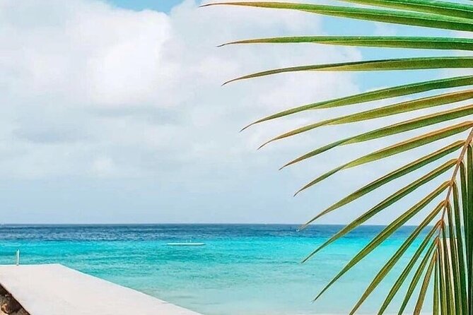 Full Day Tour Curacao West Coast Boka Tabla Flamingos and Beaches - Tour Itinerary Highlights
