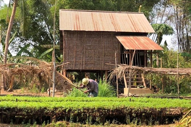 Full-Day Tour & Homestay in the Battambang Countryside - Group Size and Experience