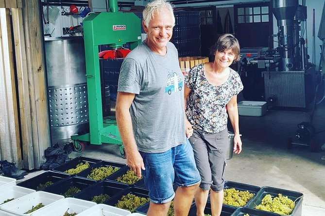 Full-Day Tour of Waiheke Island With Wine Tastings - Wine Tasting Experience
