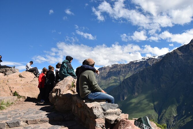 Full Day Tour to Colca From Arequipa - Traveler Experiences and Highlights