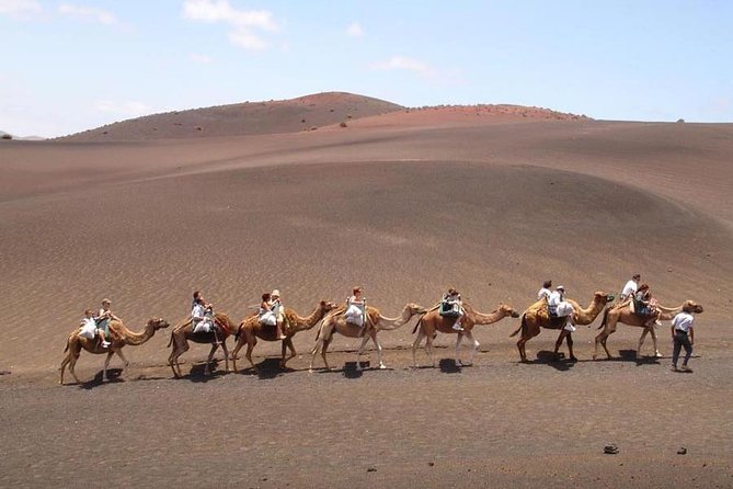 Full Day Tour to Timanfaya, Green Lagoon and La Geria - Traveler Experiences