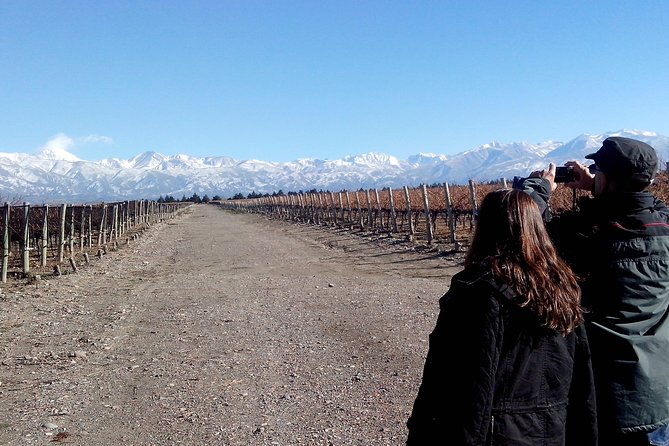 Full Day Uco Valley Wine Experience With Salentein - Gourmet Lunch Details