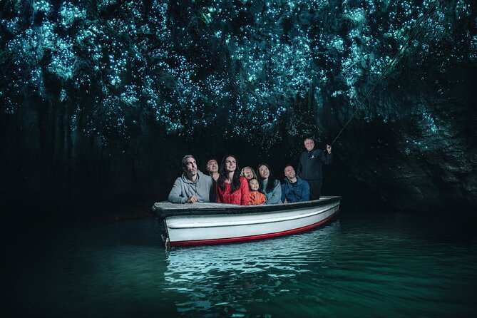 Full Day Waitomo Glow Worm Cave and Kiwi House Tour - What to Expect