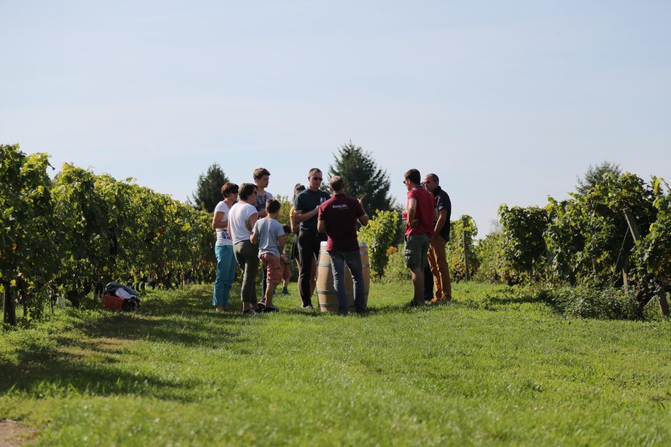 Full Day Wine Tour With Lunch at the Winery : Vouvray&Chinon - Wine Tasting Experience