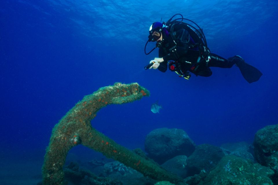 Funchal: Certified Scuba Diving, Guided Tour - Dive Experience Highlights