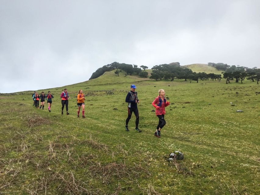 Funchal: Fanal Ancient Forest Running Tour - Included in the Tour Package