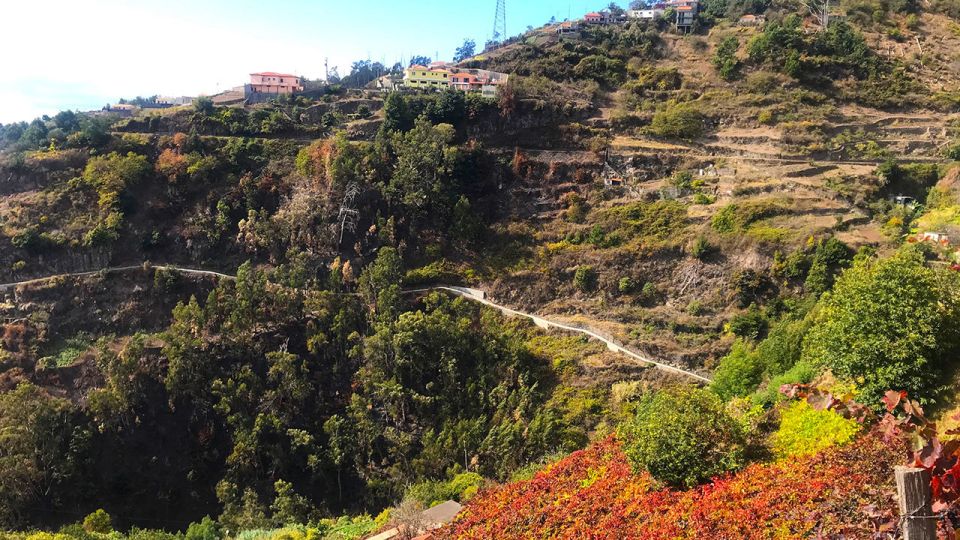 Funchal: Northern Levada Walking Tour - Inclusions and Logistics