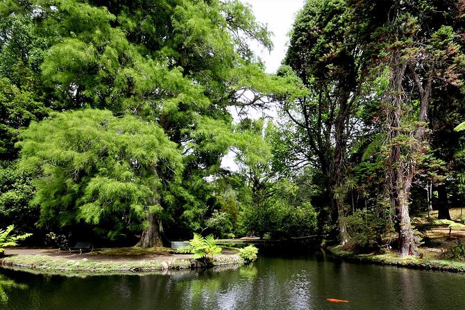 Furnas and Terra Nostra Botanic Park Guided Tour W/ Hotsprings - Important Tour Information