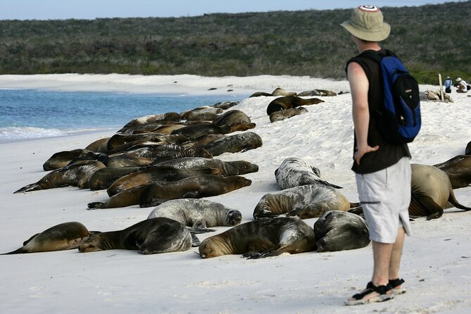 Galapagos Intensive 5 Days, Land Base (3islands) Excludes Galapagos Flight - Pickup and Meeting Details