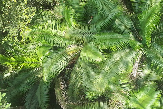 Gamboa Rainforest Combo Pack From Panama City - Reviews and Experiences
