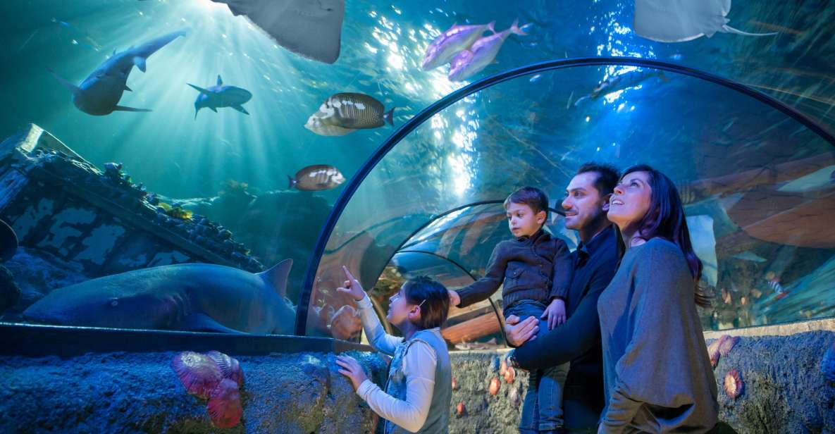Gardaland SEA LIFE Aquarium: Open Date Entry Ticket - Accessibility Features