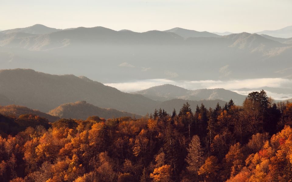 Gatlinburg: App-Based Great Smoky Mountains Park Audio Guide - Discover Newfound Gaps Scenic Viewpoints